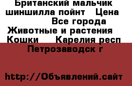 Британский мальчик шиншилла-пойнт › Цена ­ 5 000 - Все города Животные и растения » Кошки   . Карелия респ.,Петрозаводск г.